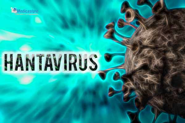 Mengenal Hanta Virus dan Cara Penularannya