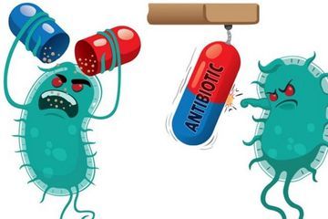 Resistensi Antimikroba