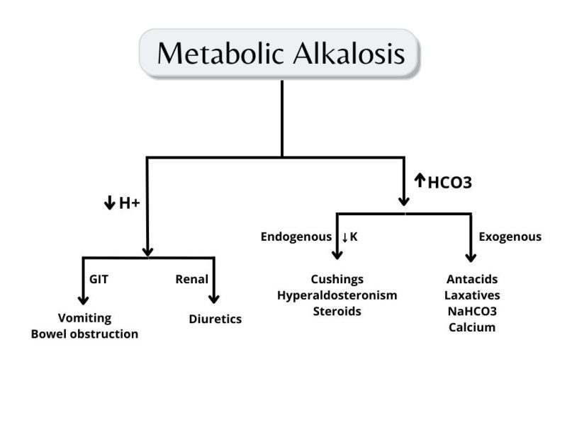 Alkalosis Metabolik
