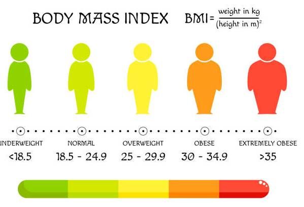 Menghitung Body Mass Index (BMI)
