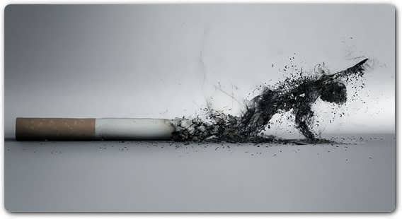 Jenis-jenis penyakit paru-paru yang disebabkan oleh rokok