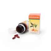 RHEUMAKUR CAPSULE