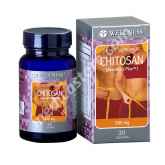 WELLNESS CHITOSAN 30 S KAPSUL