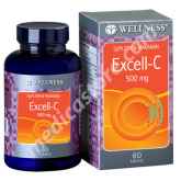 WELLNESS EXCELL C 500MG TAB 60 S