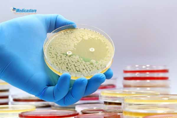 Apa Itu Resistensi Bakteri