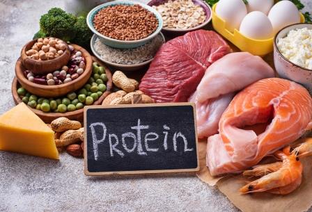 contoh protein untuk cara diet yang aman dan sesuai dengan kebutuhan kalori harian