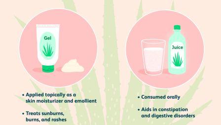 manfaat aloe vera untuk kesehatan