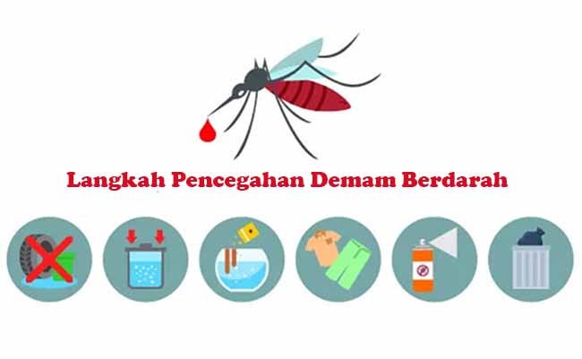 Langkah Pencegahan Demam Berdarah