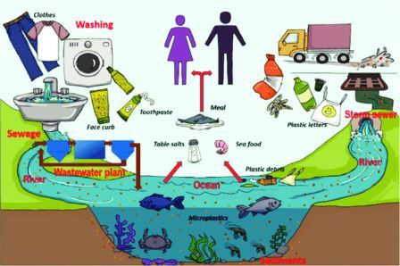 sumber mikroplastik