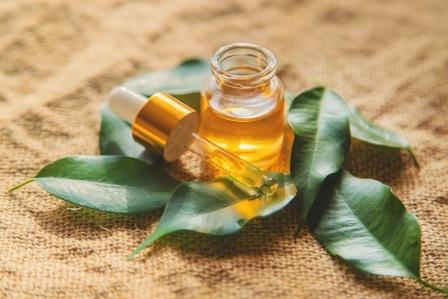 manfaat tea tree oil untuk mengatasi jerawat membandel
