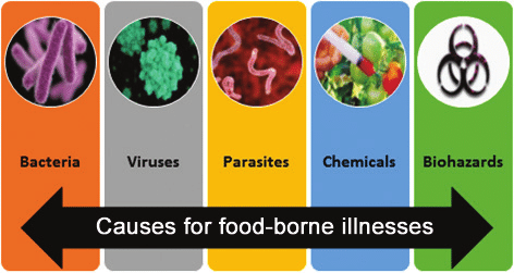 penyebab foodborne disease