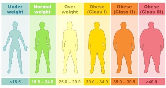 indeks massa tubuh berat badan normal