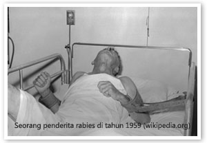 pasien terinfeksi virus rabies