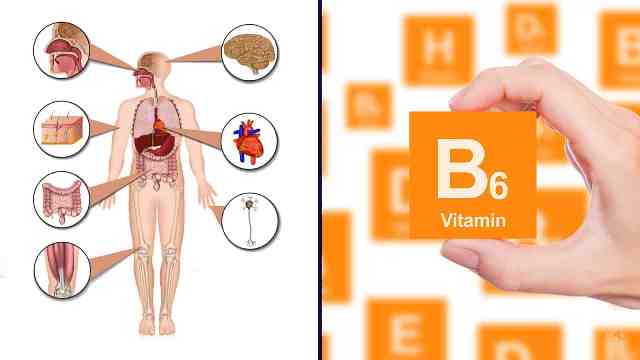 Kekurangan dan Kelebihan Vitamin B6