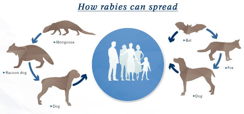 Rabies; Penyakit Anjing Gila