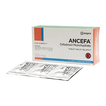 Ancefa 500 MG Kapsul