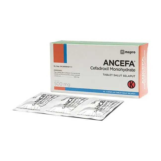 ANCEFA TABLET 500 MG