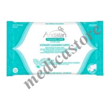Andalan Fresh Care Intimate Wipes 10's