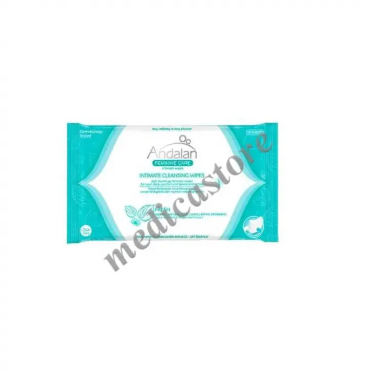 ANDALAN FRESH CARE INTIMATE WIPES 10'S