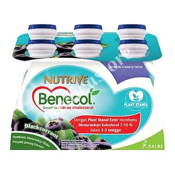 Nutrive Benecol Blackcurrant 100 ML 6's
