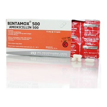Bintamox 500 MG Kaplet