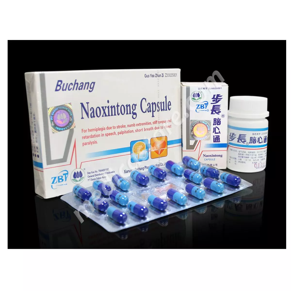 NAOXINTONG CAPSULE (19.4.026)