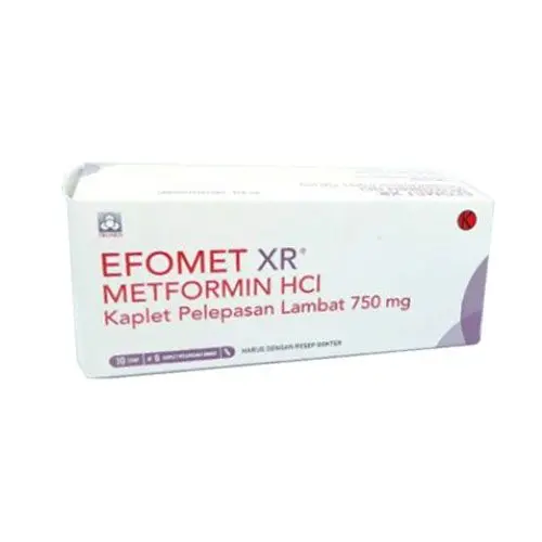 EFOMET XR KAPLET PELEPASAN LAMBAT 750 MG