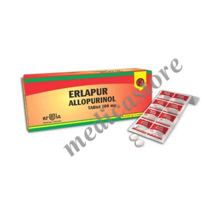 ERLAPUR TABLET 100 MG