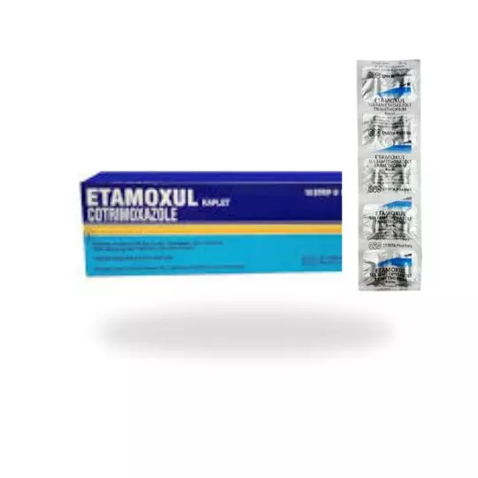 ETAMOXUL 400MG (ERRITA)