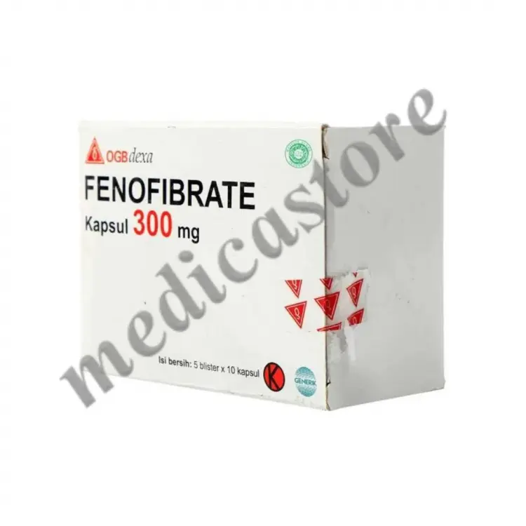 FENOFIBRATE KAPSUL 300 MG