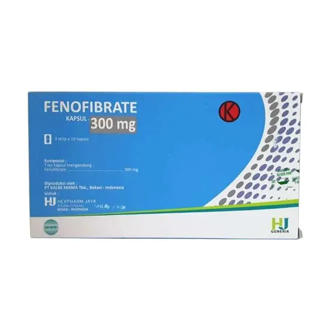 FENOFIBRATE KAPSUL 300MG