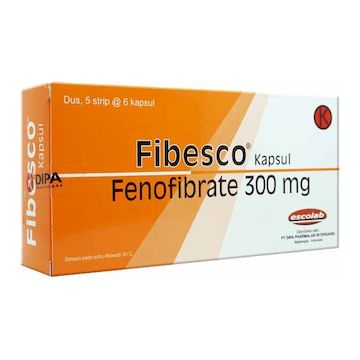 Fibesco Kapsul 300 MG