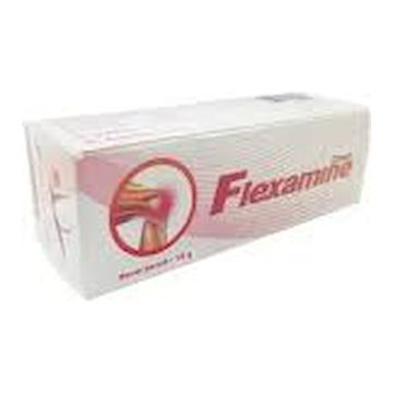 Flexamine Cream 15 Gram