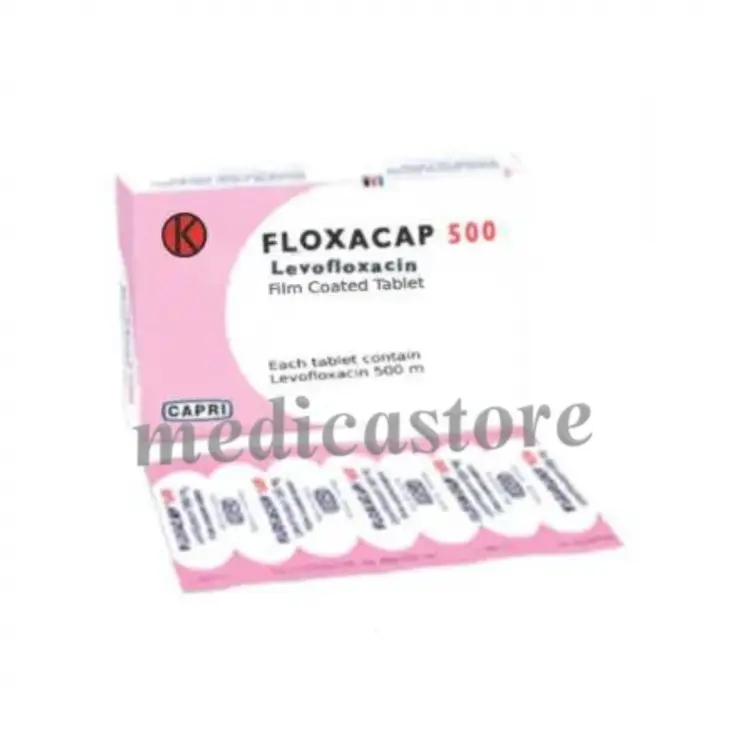 FLOXACAP TABLET 500 MG