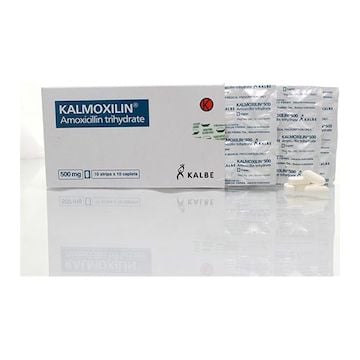 Kalmoxilin Tablet 500 MG