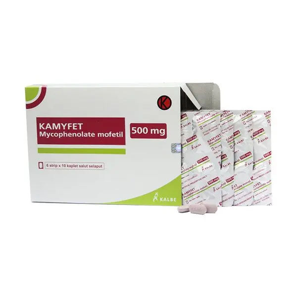 KAMYFET KAPLET 500 MG