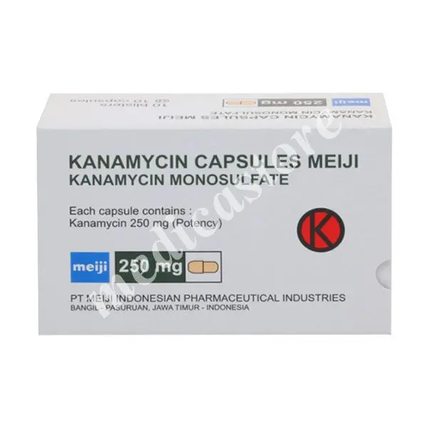 KANAMYCIN KAPSUL 250 MG