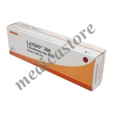 Lando 300 MG Kapsul