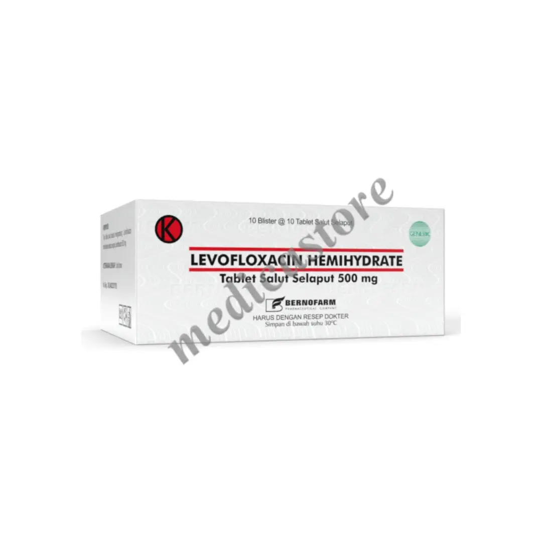 LEVOFLOXACIN TABLET SALUT SELAPU 500 MG