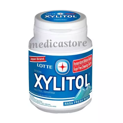 LOTTE XYLITOL FRESH MINT 58GR