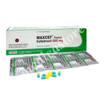 Maxcef Kapsul 500 MG