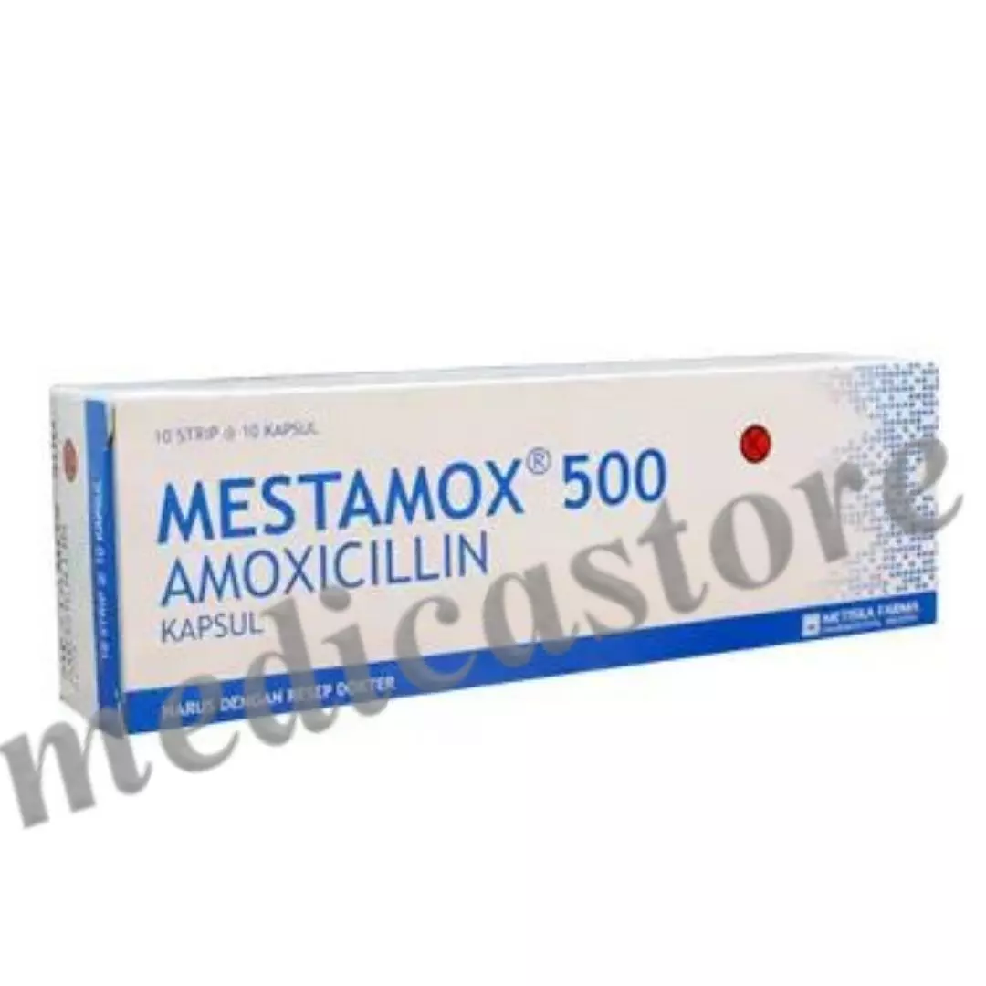 MESTAMOX KAPSUL 500 MG