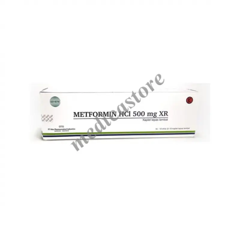 METFORMIN XR TABLET 500 MG