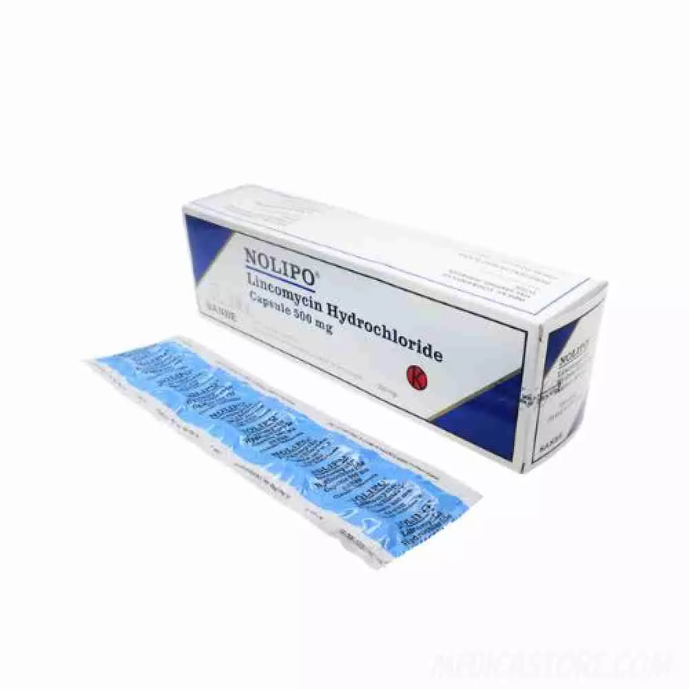 Nolipo 500 mg Kapsul 100'S