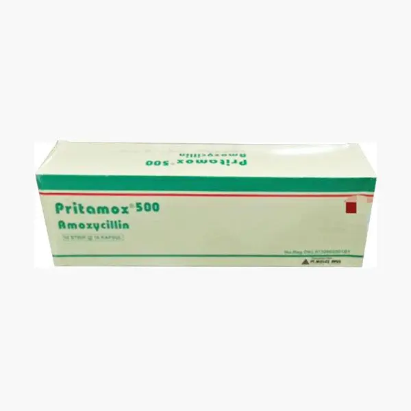 PRITAMOX CAPSULE 500 MG