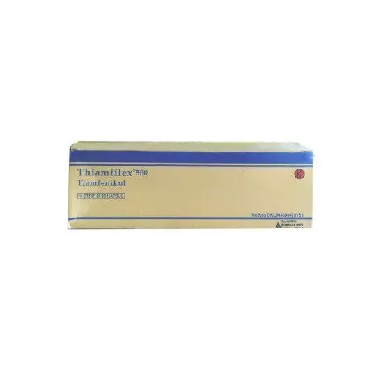 THIAMFILEX KAPSUL 500 MG 