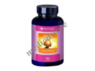 WELLNESS GINKGO FORMULA KAPSUL 60'S