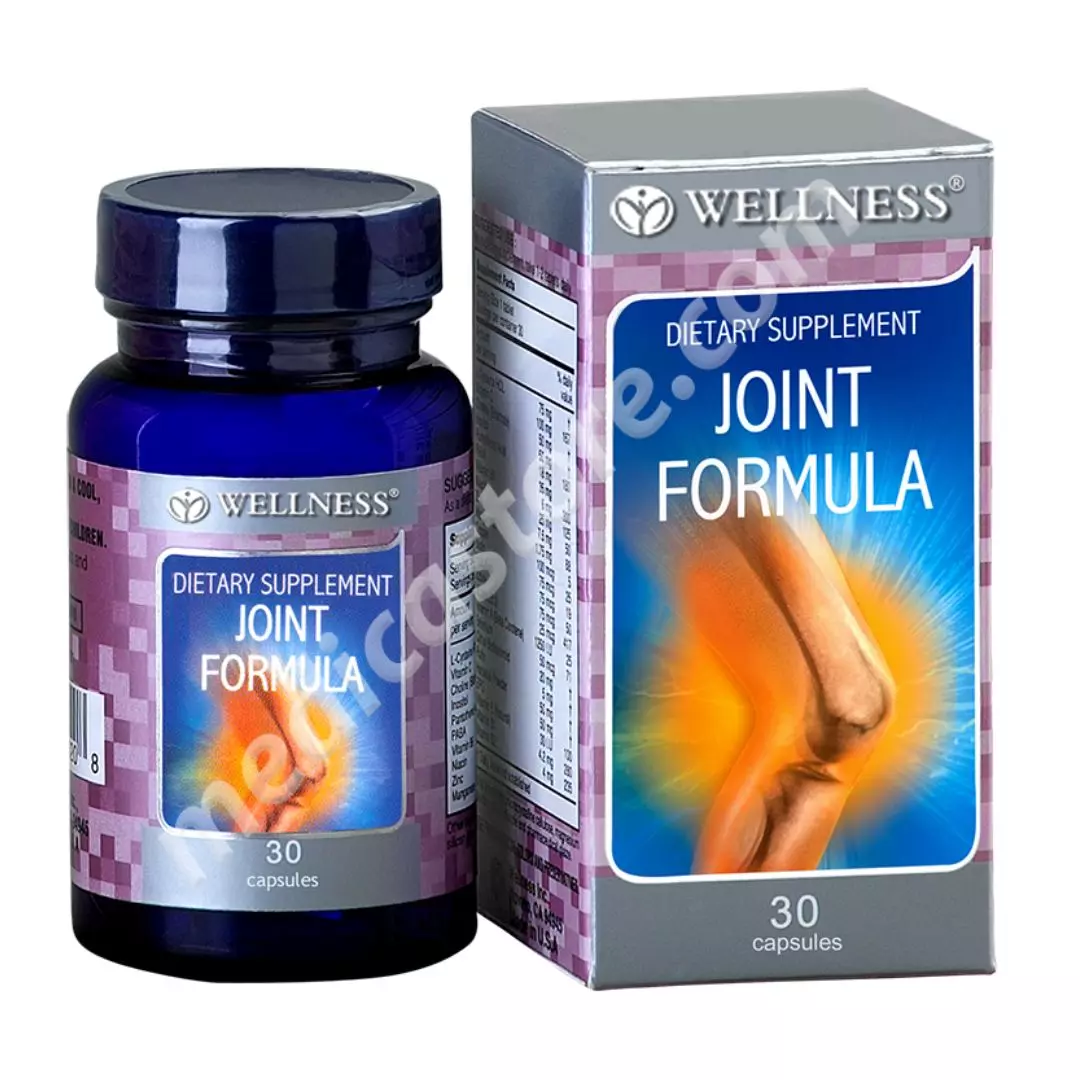 WELLNESS JOINT FORMULA KAPSUL 30'S