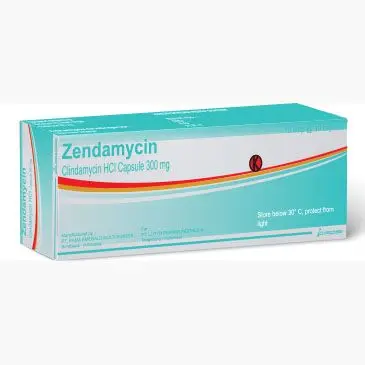 ZENDAMYCIN CAPSULE 300 MG