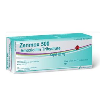 Zenmox 500 MG Kaplet